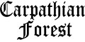 Carpathian forest