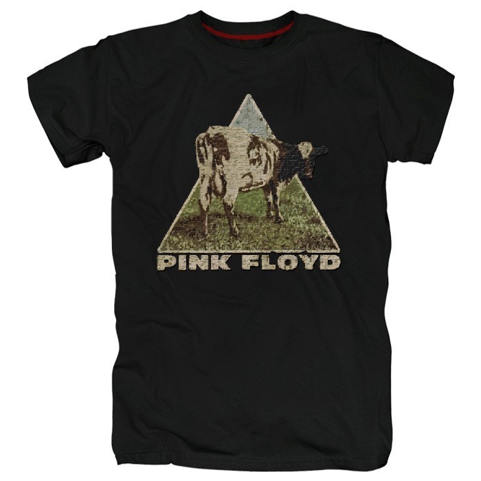 Футболка Pink floyd #16 p_floyd16 - фото 106246