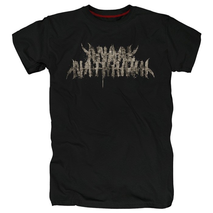 Футболка Anaal nathrakh #19 anaal19 - фото 238136