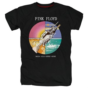 Футболка Pink floyd #22 p_floyd22