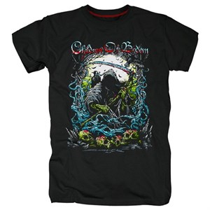 Футболка Children of bodom #11 chil_bod11